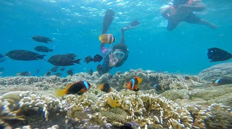 Gili Layar, Gili Rengit & Gili Gede (Southwest Gilis)